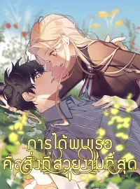 หน้าปกนวนิยาย การได้พบเธอคือสิ่งที่สวยงามที่สุด