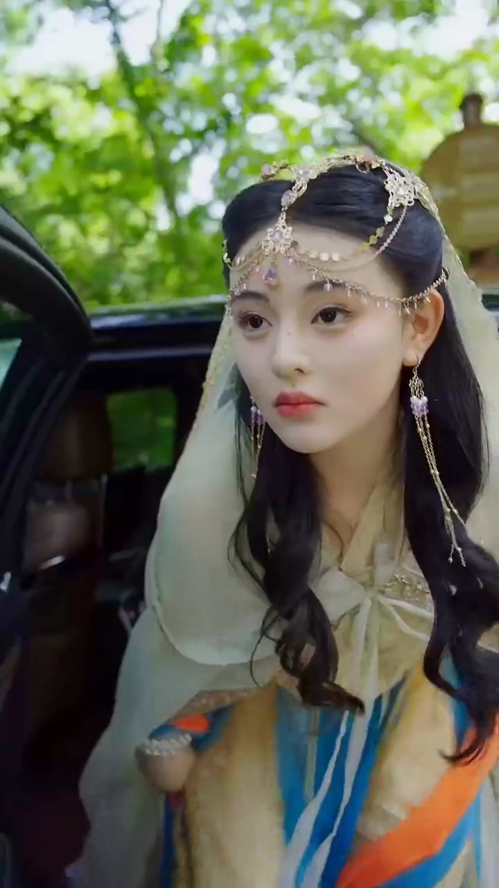 天に遣わされた不滅のマスター写真