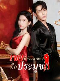 เขยที่ท่านตามหาคือประมุขซีรีส์สั้น