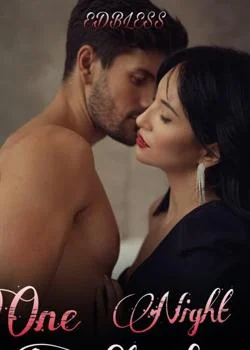 A Night Stand  Novel Cover