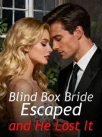 Blind Box Bride Escaped and He Lost It Novel Cover