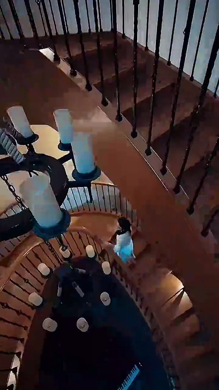 夜明けを待つ薔薇写真