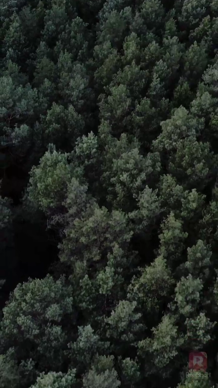 [Doublé] L'Alpha Maudit et sa PromisePhoto