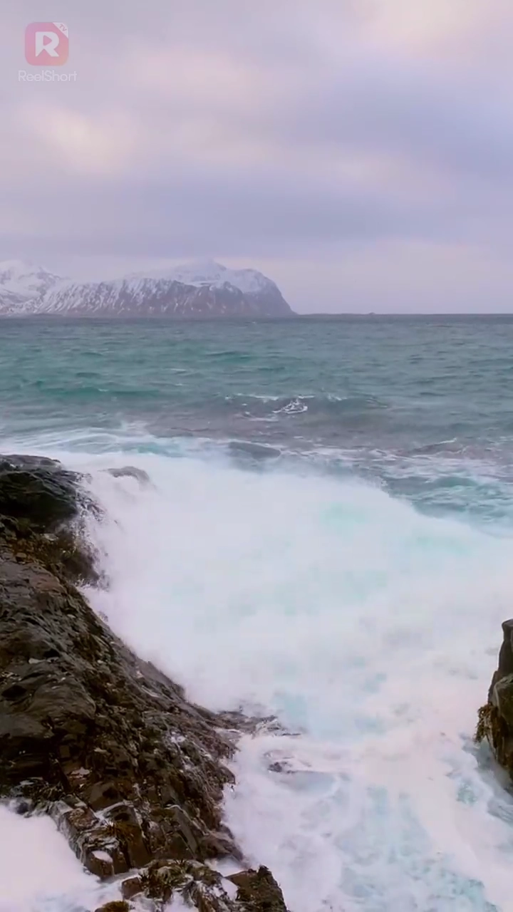 Survie sur l'îlePhoto