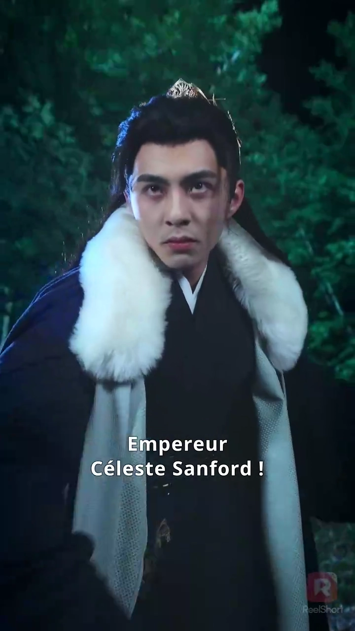 Le maître absoluPhoto