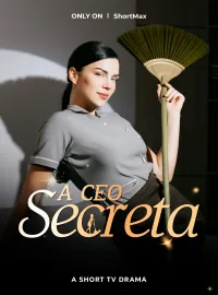 A CEO Secreta