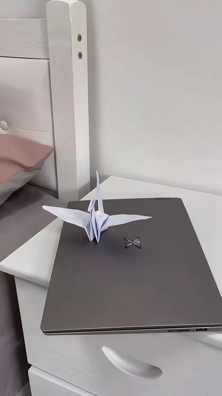 Find Him In The Rabbit HolePhoto