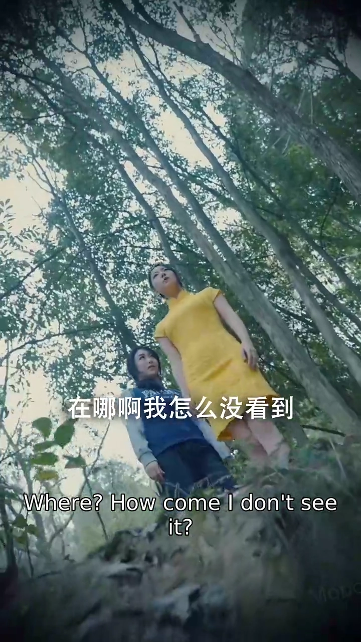 Scars of a Broken BondPhoto