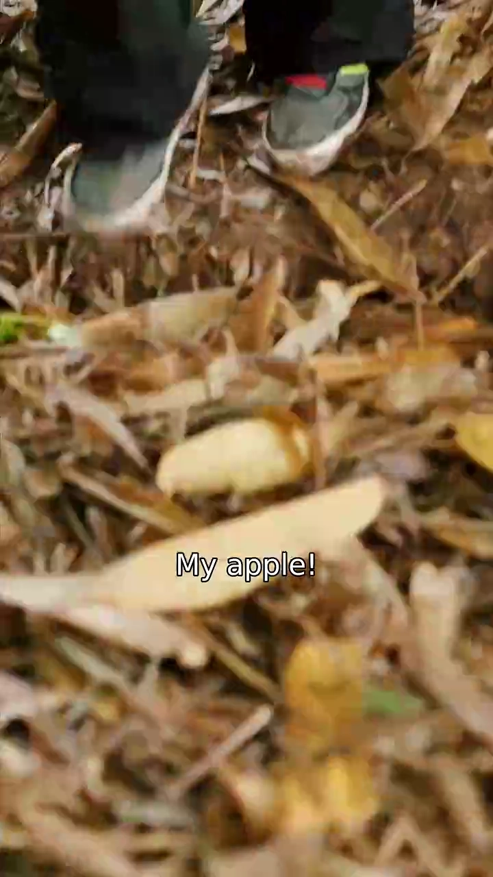A Laborer's Jacket, A Billionaire's HeartPhoto