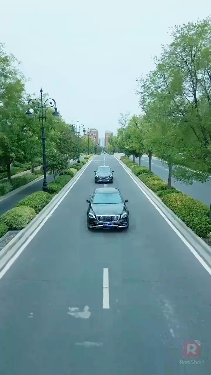 天から舞い降りた許嫁写真