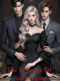 The Revenge of an Enigma Novel Cover