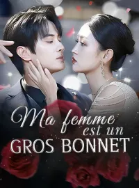 Ma femme est un gros bonnetMini-séries