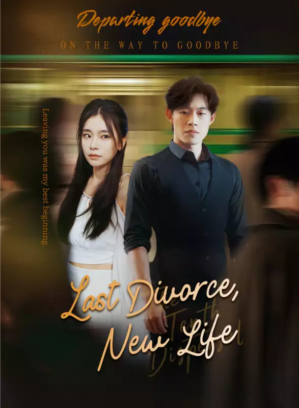 Last Divorce, New Life Mini Series