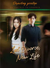 Last Divorce, New LifeMini Series