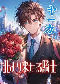 ヤーカ　北より来たる騎士 の小説カバー