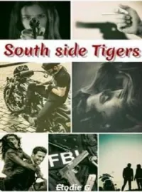 Couverture du roman South side tigers