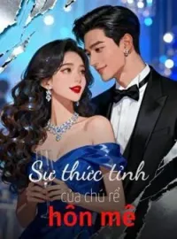 Bìa tiểu thuyết Sự thức tỉnh của chú rể hôn mê
