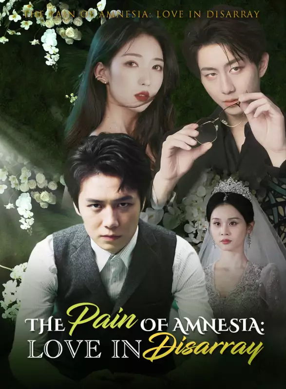 The Pain of Amnesia: Love in DisarrayMini Series