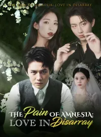 The Pain of Amnesia: Love in DisarrayMini Series
