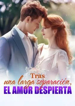 Portada de la novela Tras una larga separación, el amor despierta