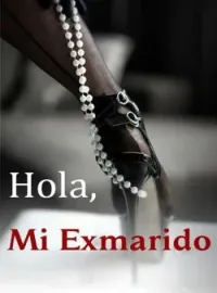 Portada de la novela Hola, Mi Exmarido