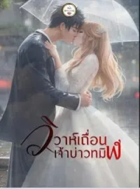 หน้าปกนวนิยาย วิวาห์เถื่อน เจ้าบ่าวทมิฬ