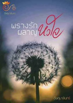 หน้าปกนวนิยาย พรางรักผลาญหัวใจ