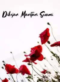Sampul Novel Dikejar Mantan Suami