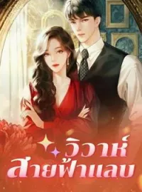 หน้าปกนวนิยาย วิวาห์สายฟ้าแลบ