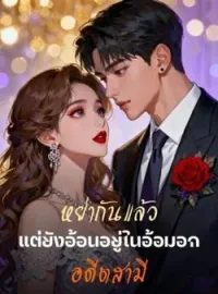 หน้าปกนวนิยาย หย่ากันแล้วแต่ยังอ้อนอยู่ในอ้อมอกอดีตสามี