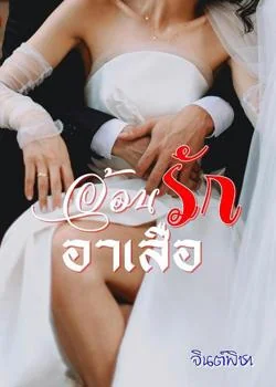 หน้าปกนวนิยาย อ้อนรักอาเสือ