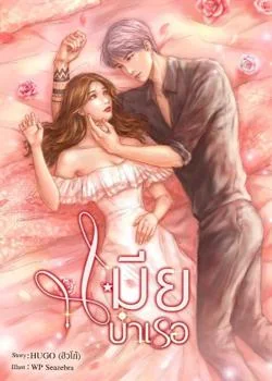 หน้าปกนวนิยาย เมียบำเรอ