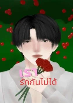 เรารักกันไม่ได้