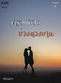 หน้าปกนวนิยาย ตรวนลวง บ่วงดวงมาน