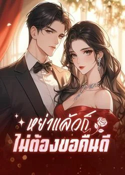 หน้าปกนวนิยาย หย่าแล้วก็ไม่ต้องขอคืนดี