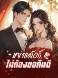 หน้าปกนวนิยาย หย่าแล้วก็ไม่ต้องขอคืนดี