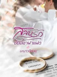 หน้าปกนวนิยาย สลับรักยัยเลขาฝาแฝด