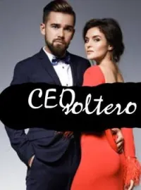 Portada de la novela CEO soltero