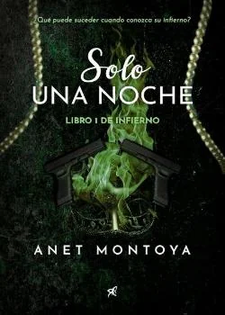 Portada de la novela Solo Una Noche