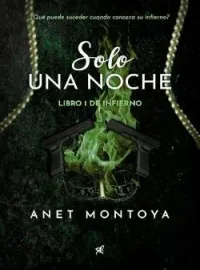 Portada de la novela Solo Una Noche