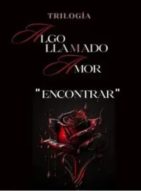 Portada de la novela  "Encontrar"