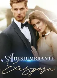 Capa do romance A deslumbrante ex-esposa