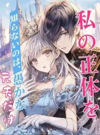 私の正体を知らないのは、愚かな元夫だけ の小説カバー