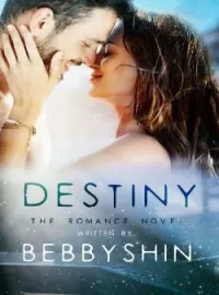 Sampul Novel DESTINY