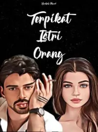Sampul Novel Terpikat Istri Orang