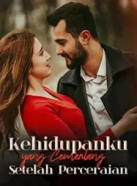 Sampul Novel Kehidupanku yang Cemerlang Setelah Perceraian