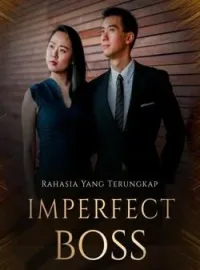 Sampul Novel IMPERFECT BOSS