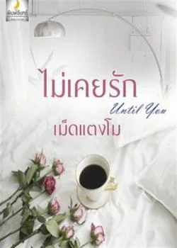 ภาพปกนิยายเรื่อง ไม่เคยรัก until you + ตอนพิเศษ