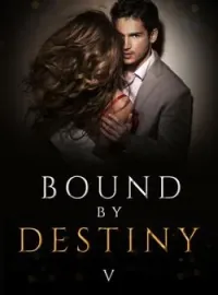Sampul Novel Bound by Destiny