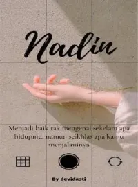 Sampul Novel NADIN